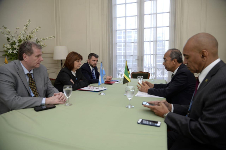 Pliego Michelli: Bullrich y aliados complican estrategia oficial en Congreso