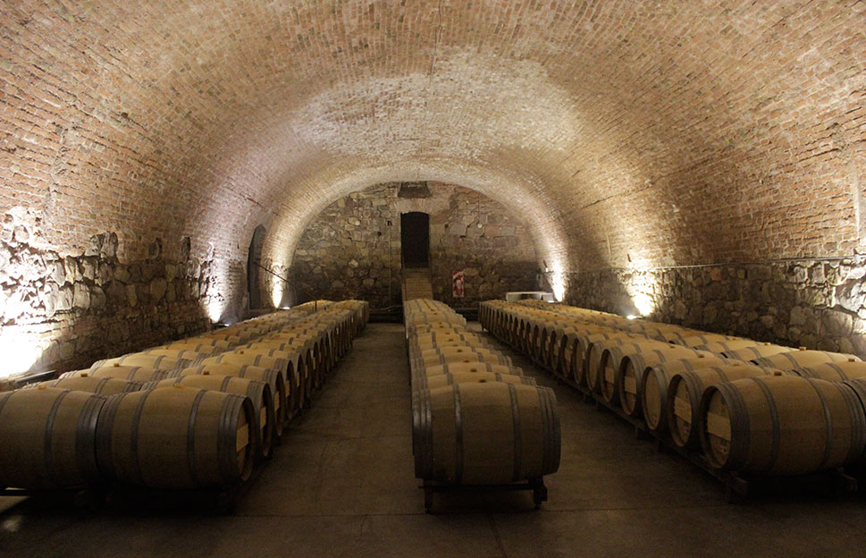 Reencorchan vinos de US$5M ocultos por nazis en la Segunda Guerra Mundial