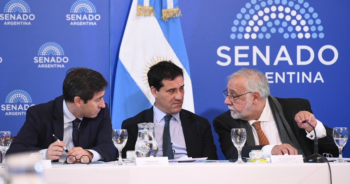 Senado bonaerense: K, macristas y críticos de Milei disputan pliegos judiciales