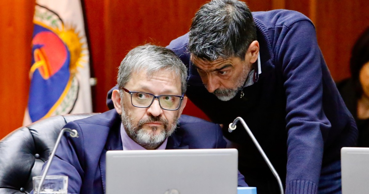 Consejo de la Magistratura: Tailhade agrede a Galderisi y genera fuerte tensión