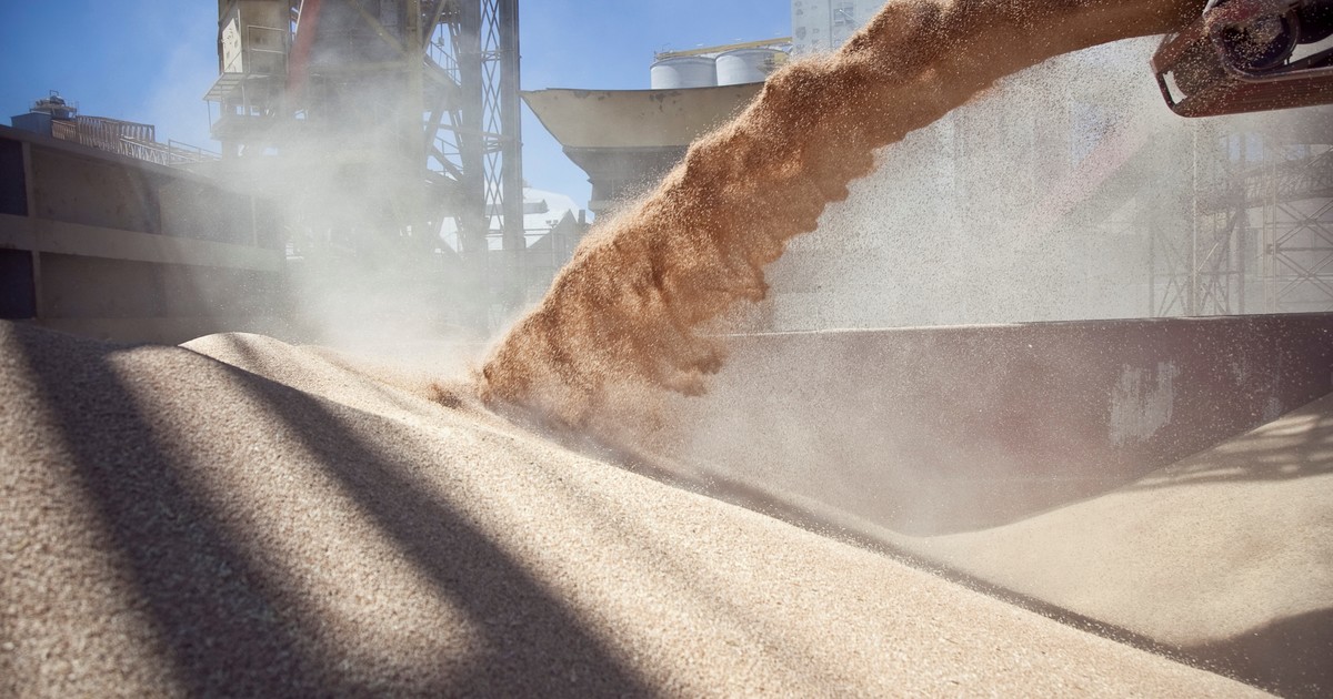 El agro aumentó su liquidación en junio, pero el semestre cayó un 13%
