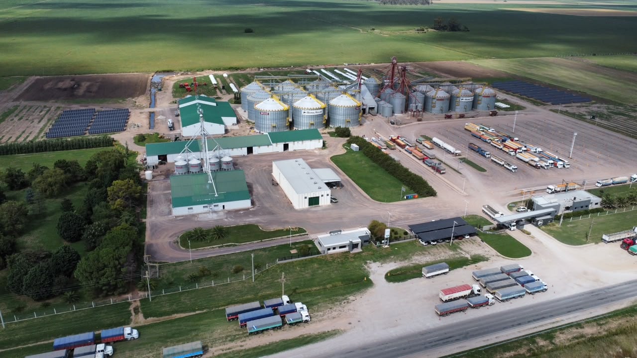 Morel Vulliez invierte US$3 millones en ampliar su capacidad de producción