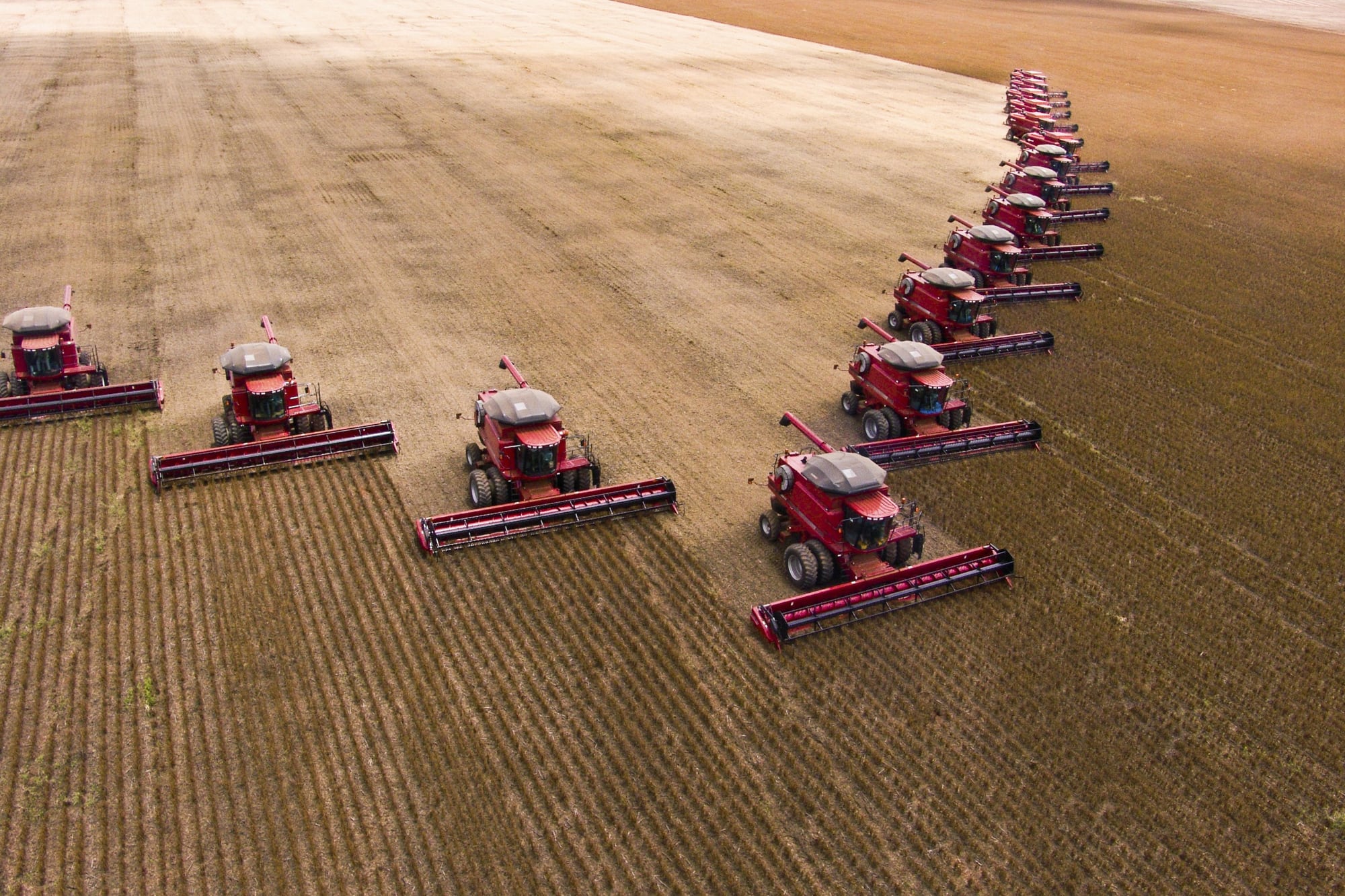 La Argentina pierde terreno en la producción de soja ante el avance brasileño