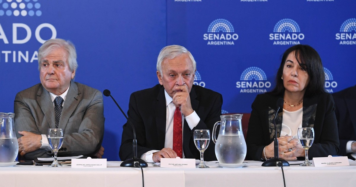 Senado oficializa pliego para extender mandato de juez Pesino