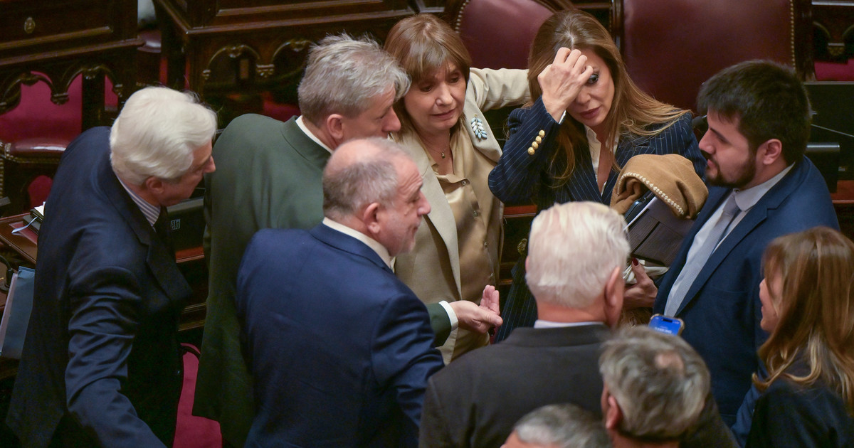 El oficialismo presenta reforma polémica en el Senado