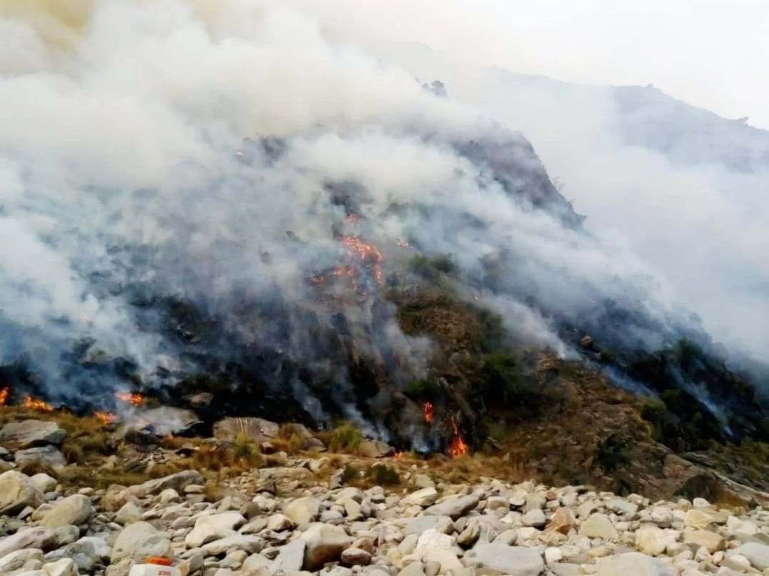 Incendio en El Durazno Alto: bomberos intentan controlar las llamas