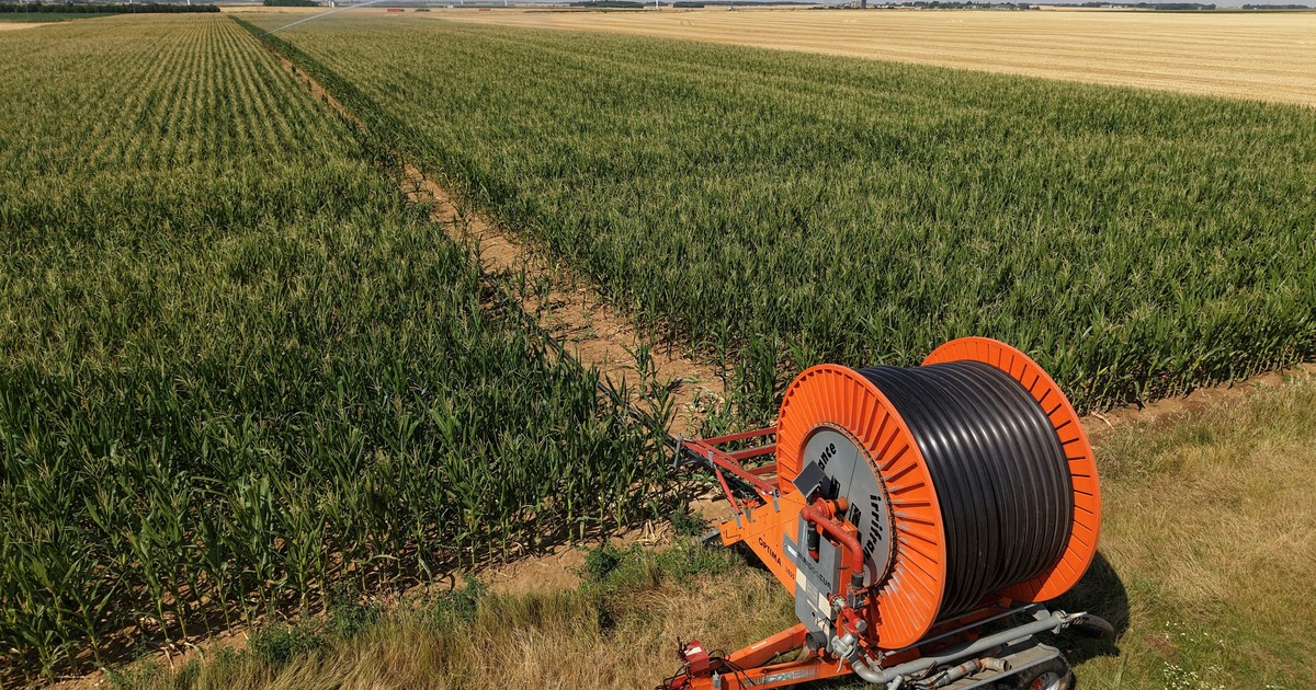 Europa prevé su peor cosecha de cereales en una década y abre la puerta al Mercosur