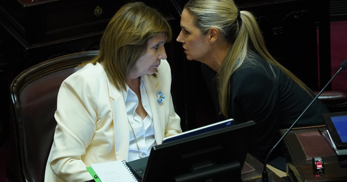 Oficialismo presenta proyecto para agravar penas por falsas denuncias