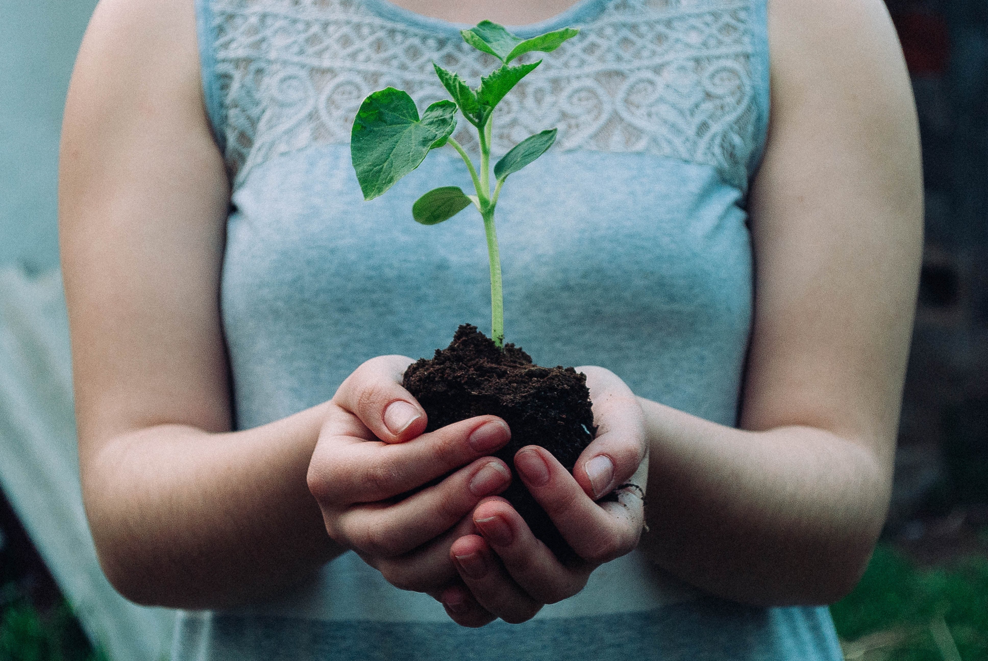 Plantar en el momento ideal: cambiar tu vida desde hoy