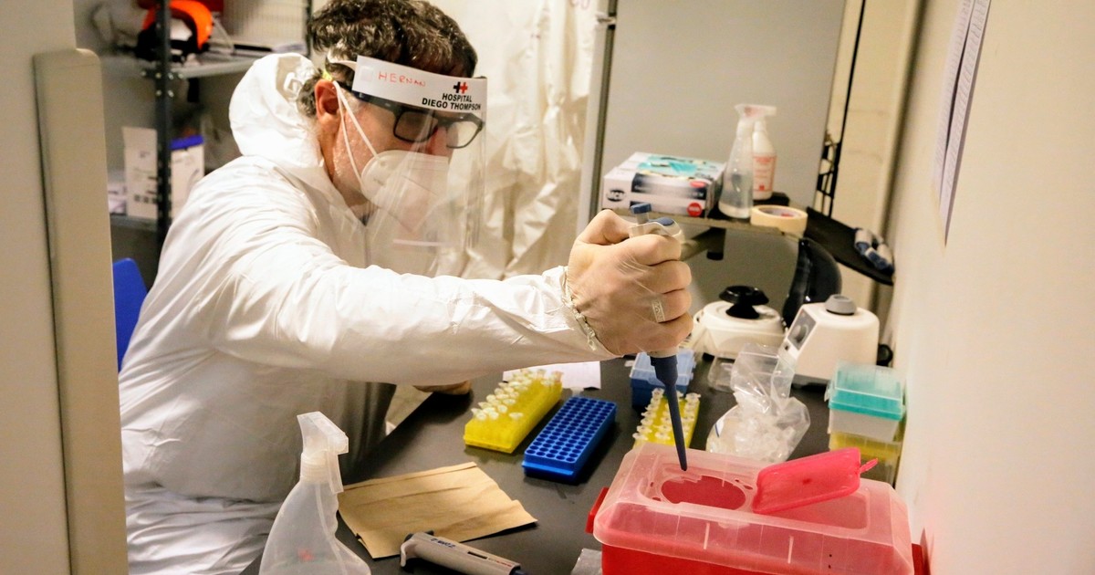 Investigan técnicas para rejuvenecer células en Argentina