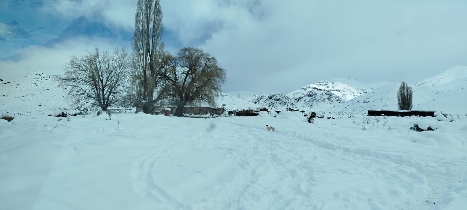 Nevadas en la cordillera: rescates, pasos cerrados y clases suspendidas