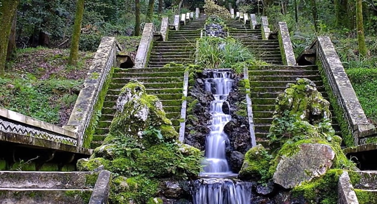 Portugal certifica su único bosque terapéutico en la Península Ibérica