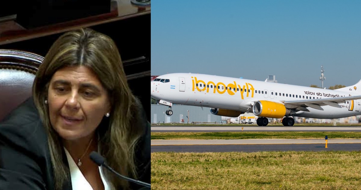 Flybondi cancela 290 vuelos en julio: senadora pide informes a ANAC