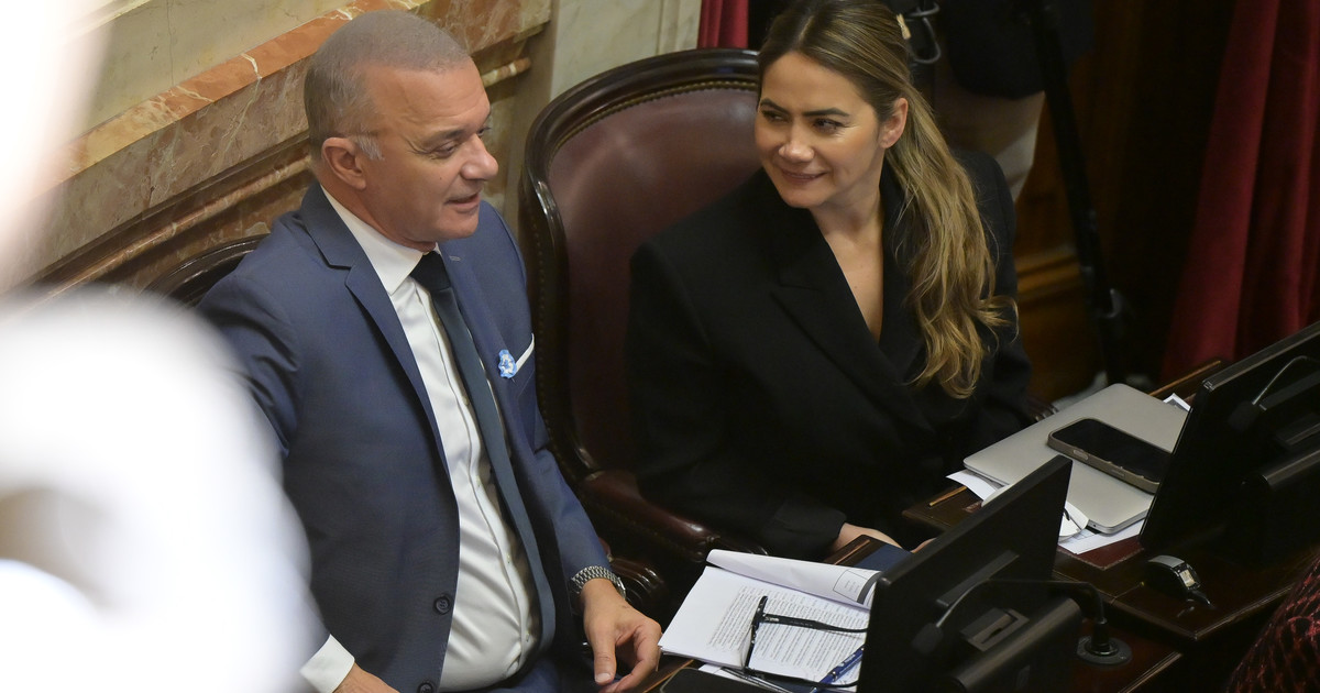 Senadores de Misiones se oponen a venta de tierras a extranjeros