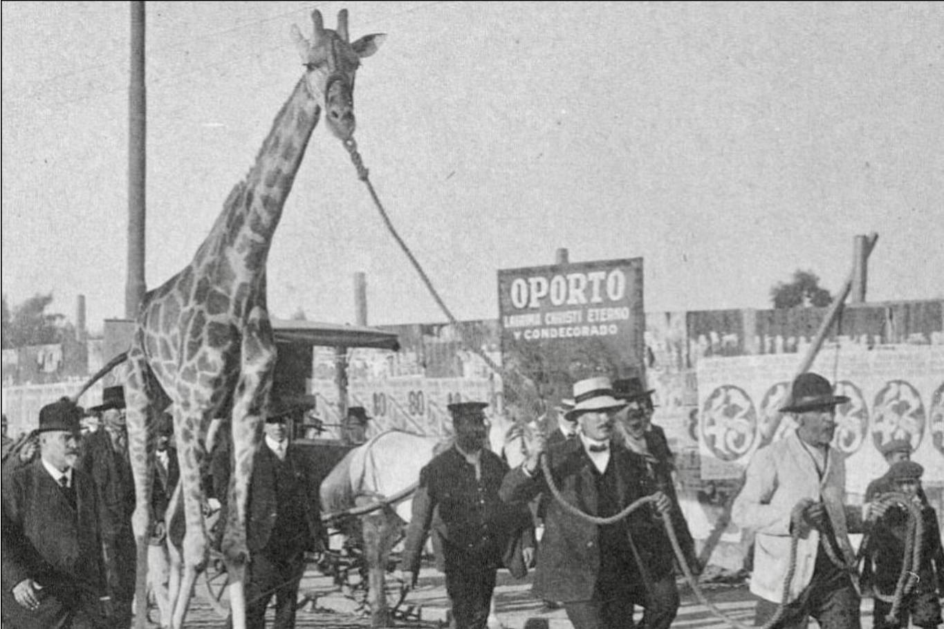 Don Clemente gestionará zoo: impacto económico y efectos locales