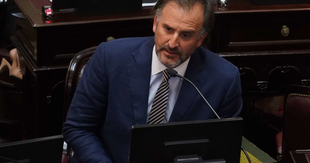Benegas Lynch responde a críticas de senadora K sobre participación en debate de la Ley de