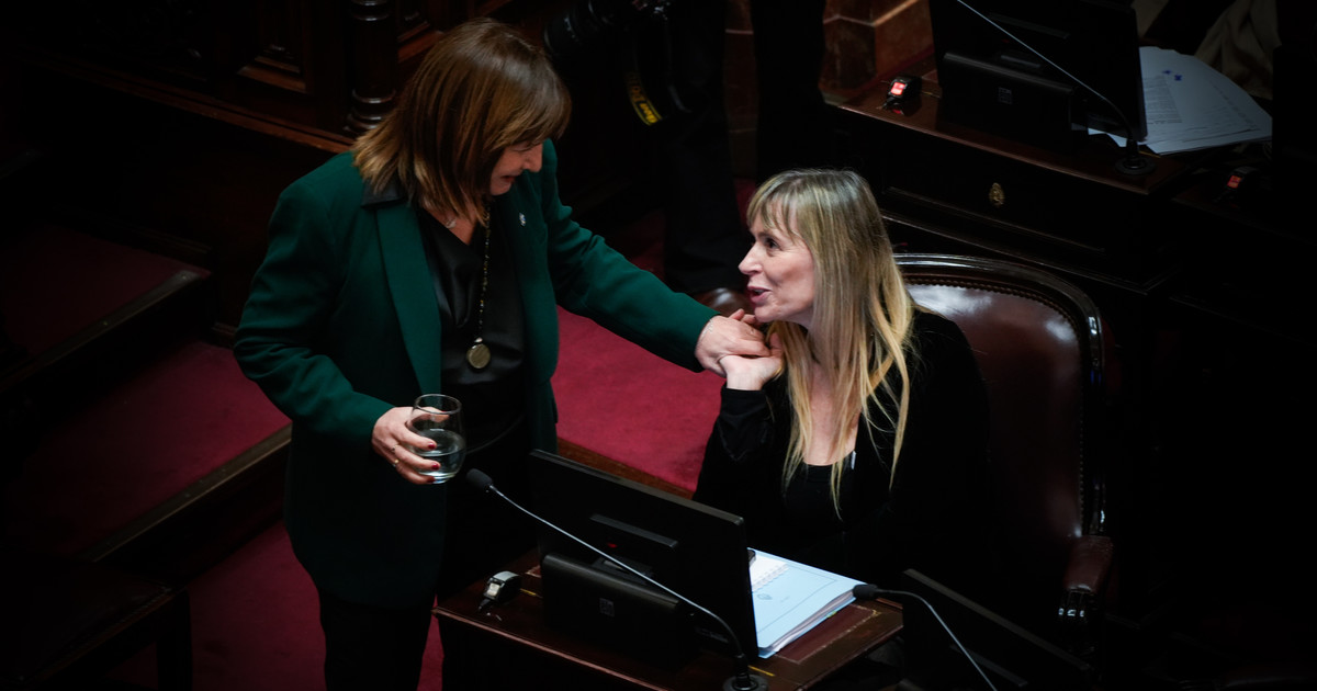 El líder del bloque libertario de LLA enfrenta críticas en el Senado