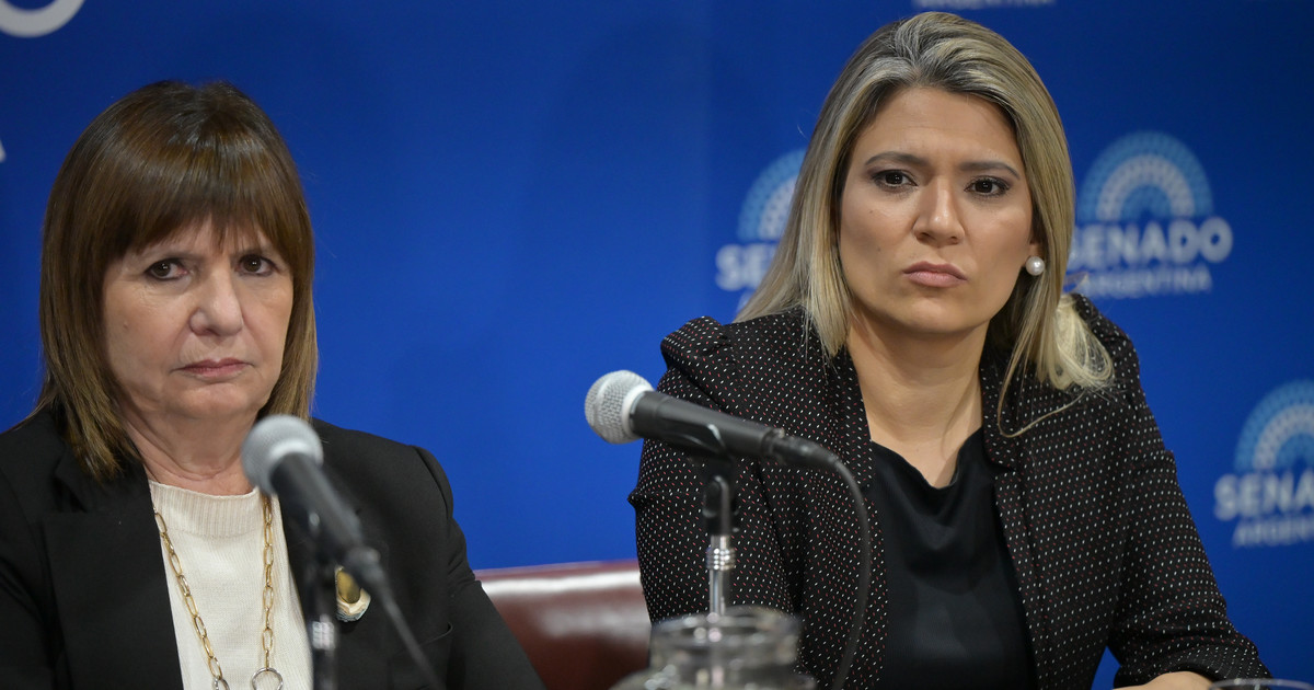 Jueces clave para Milei: Bertuzzi y Yadarola defenderán pliegos en el Senado