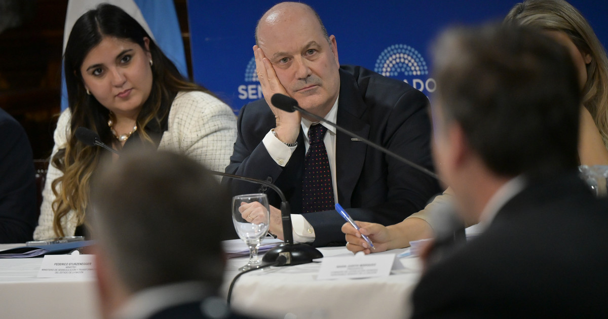 Senado retoma debate sobre Ley de Sociedades y Súper RIGI