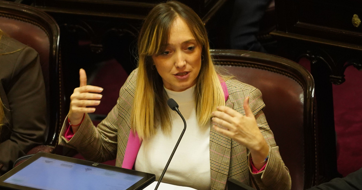 Proyecto permite votar remotamente a senadoras embarazadas
