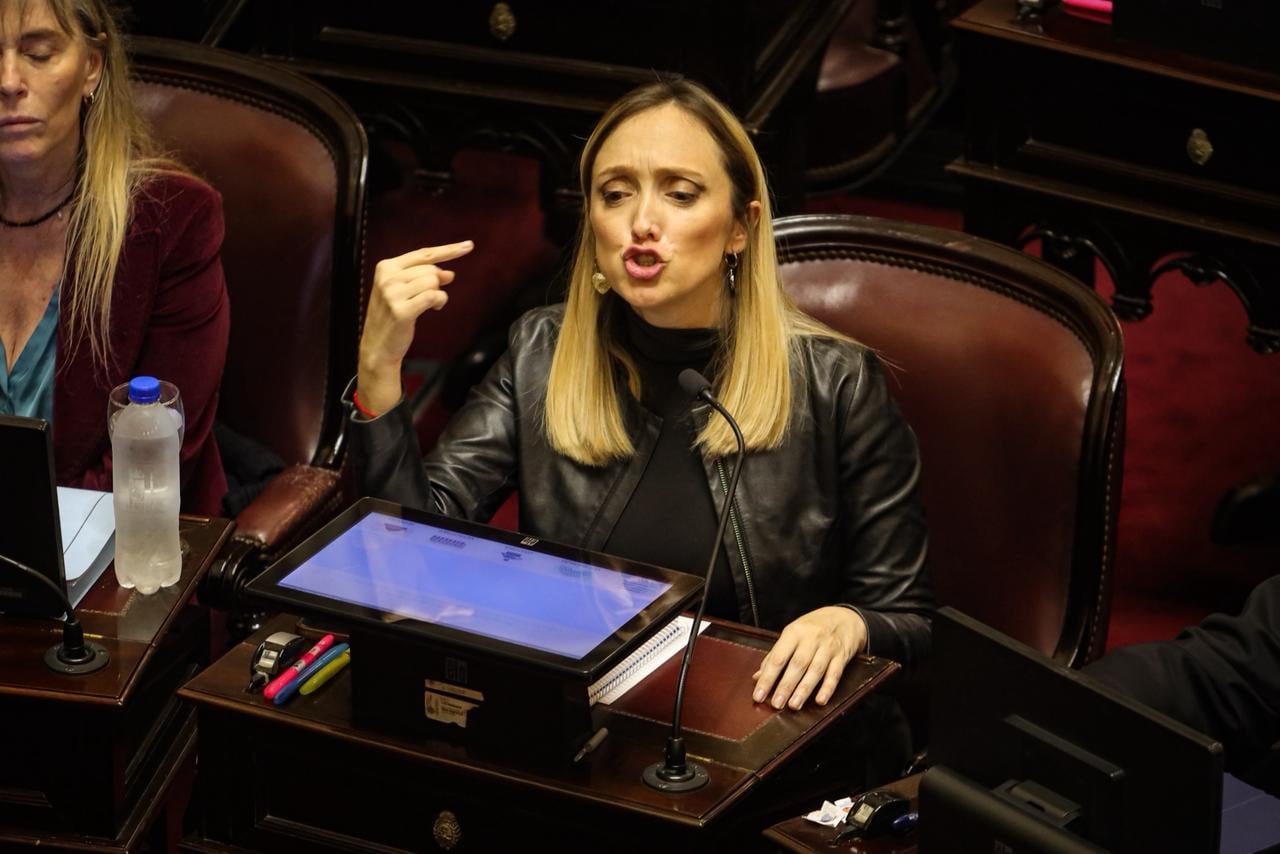 Fernández Sagasti propone votación a distancia para senadoras embarazadas