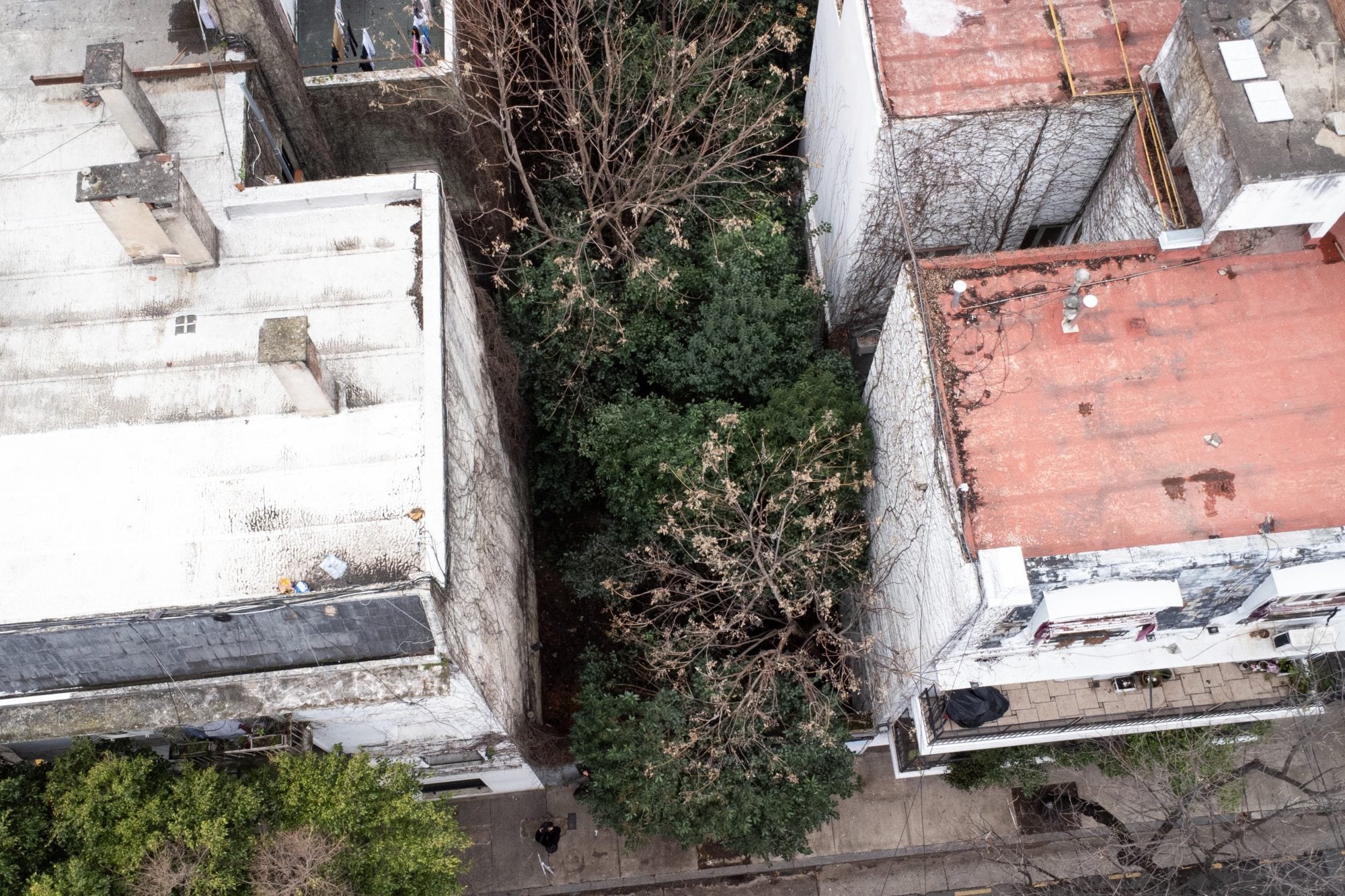 Vecinos de Almagro buscan convertir terreno en microreserva urbana, pero el gobierno avanz