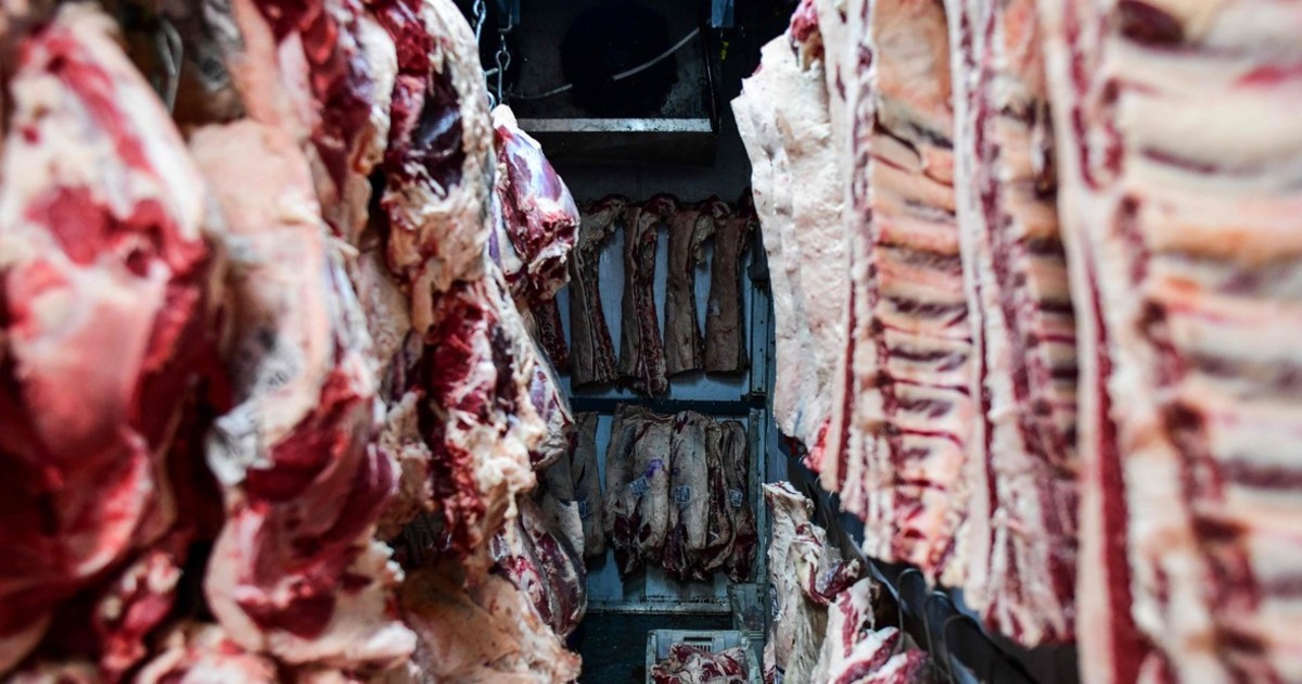 EEUU retira 13 toneladas de carne argentina por no superar la reinspección