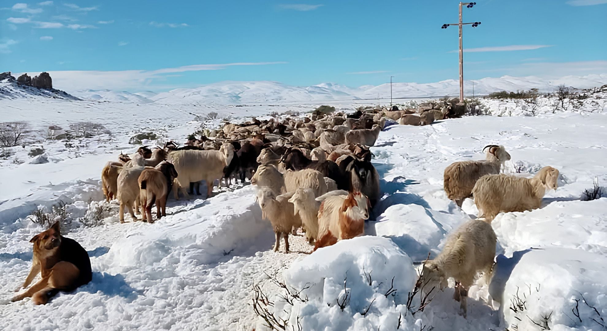 Alerta por nevadas en la cordillera: más de 3.000 camiones varados y crece la preocupación