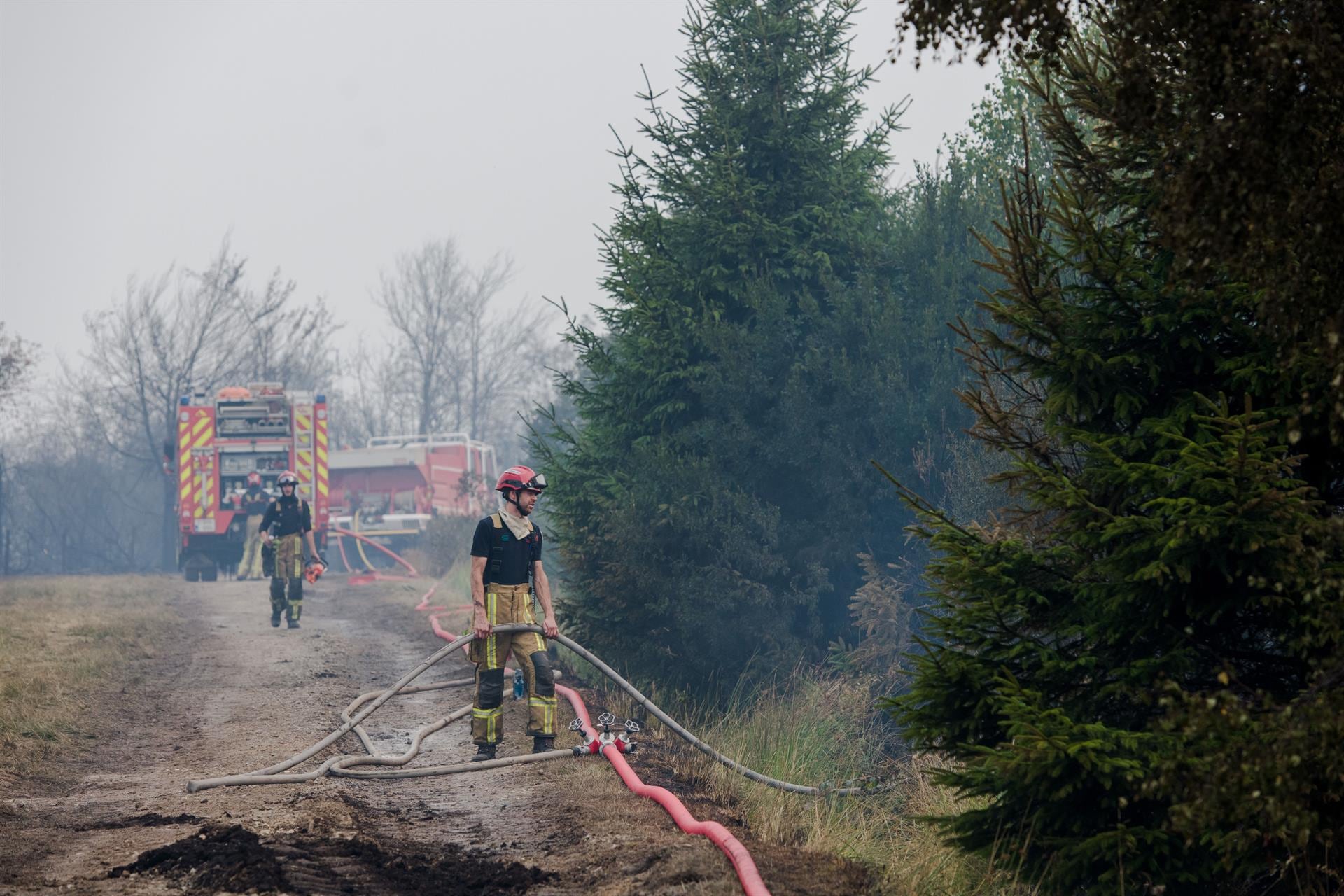 Bélgica combate incendio forestal