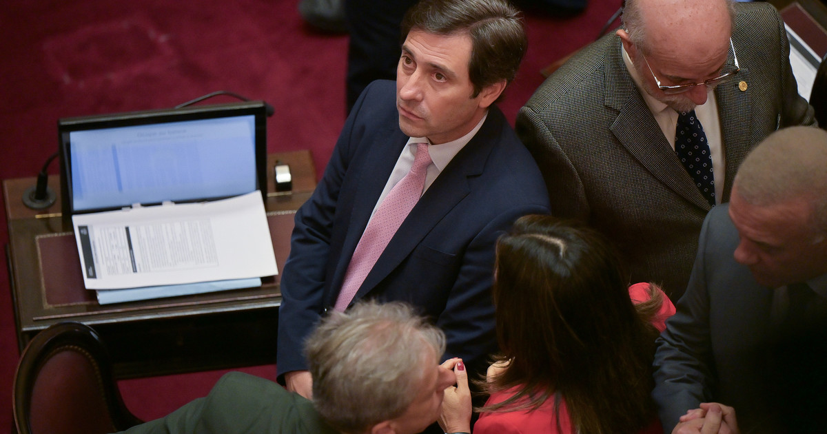 Goerling: PRO debe presentar candidato propio y mantener PASO para 2027