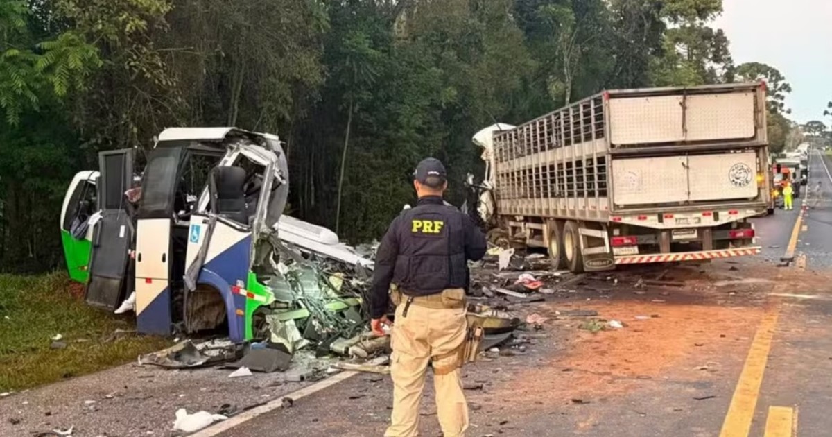 Accidente en Brasil: Camión se cruza de carril y mata a 23 personas