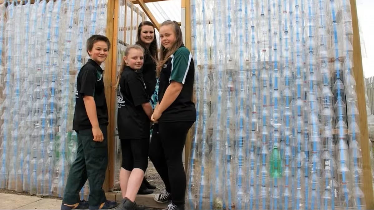 Escuela australiana construye invernadero con 2.000 botellas de plástico