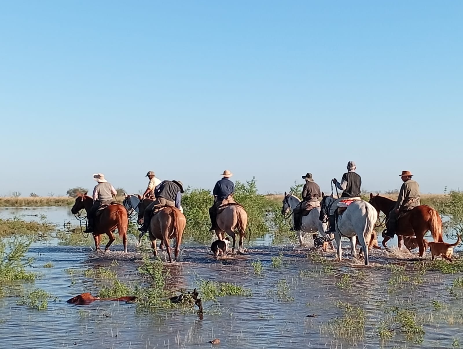 Inundaciones en Santa Fe: productores rurales enfrentan pérdidas