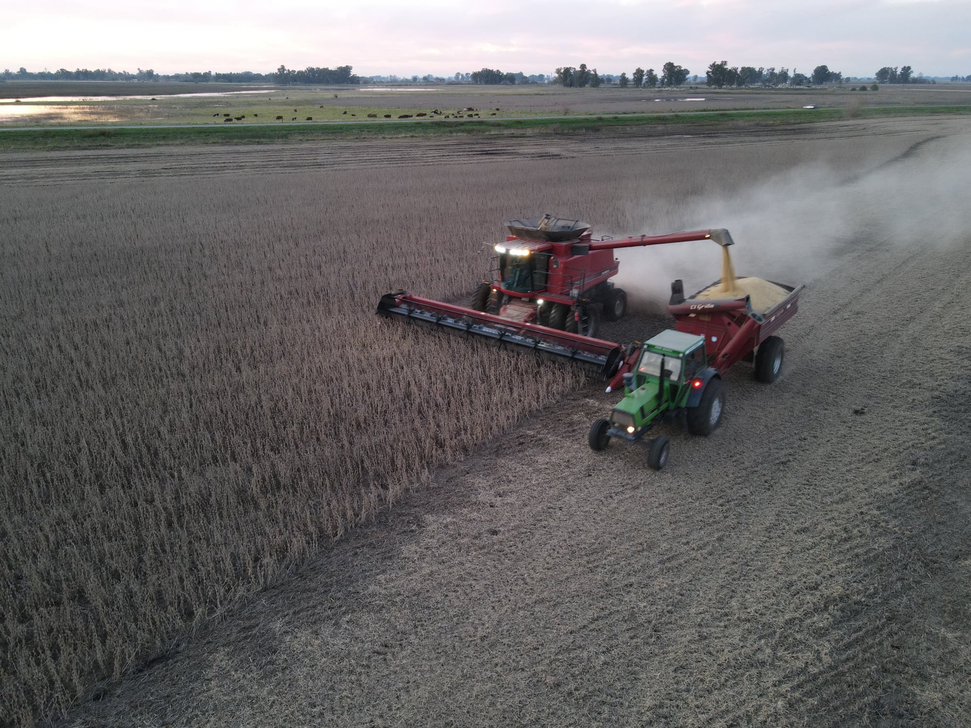<Título actual: El agrro argentino sobrevive a dos décadas de retenciones y cambios cambia