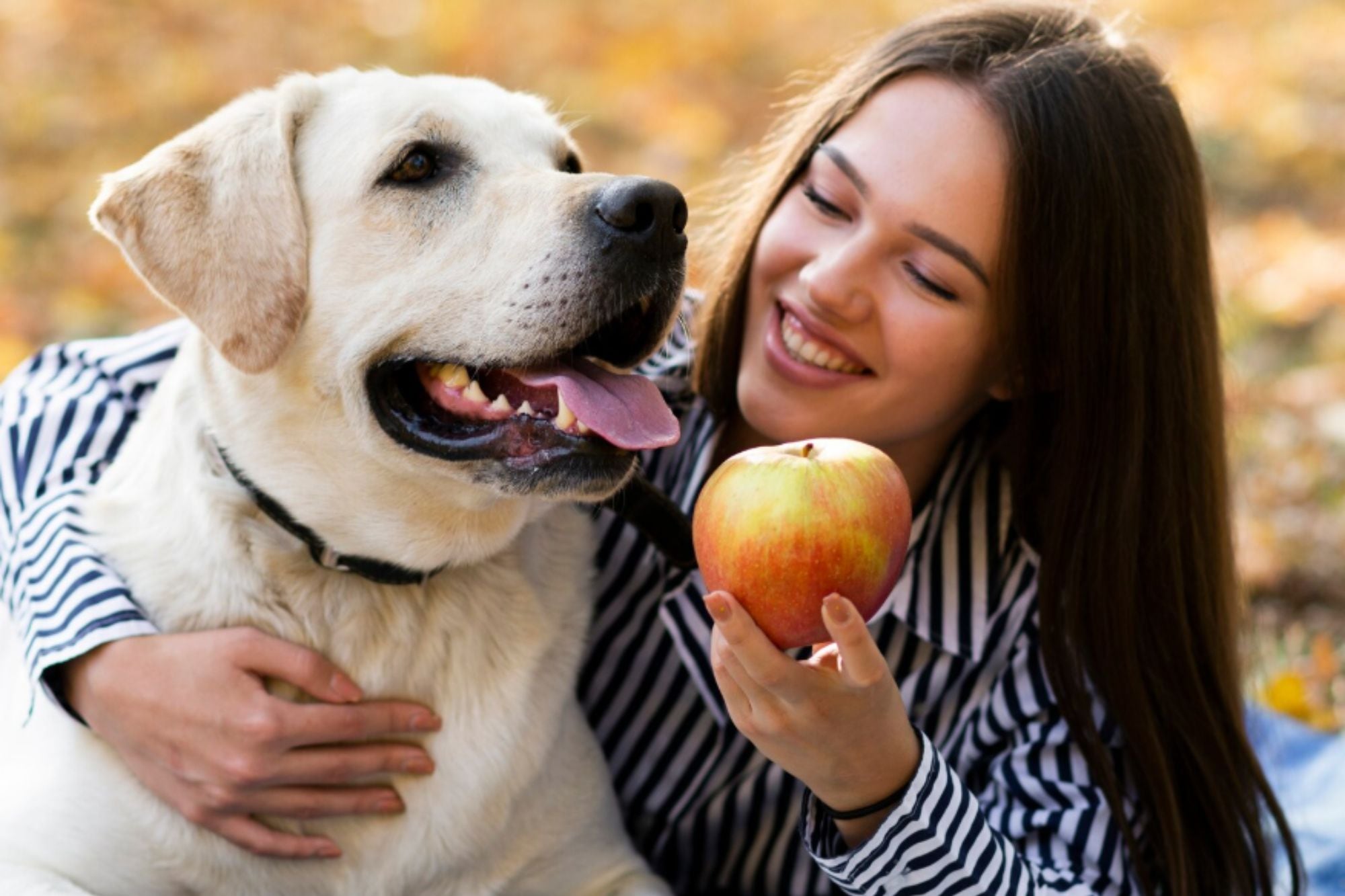 Veterinaria recomienda frutas saludables para perros.