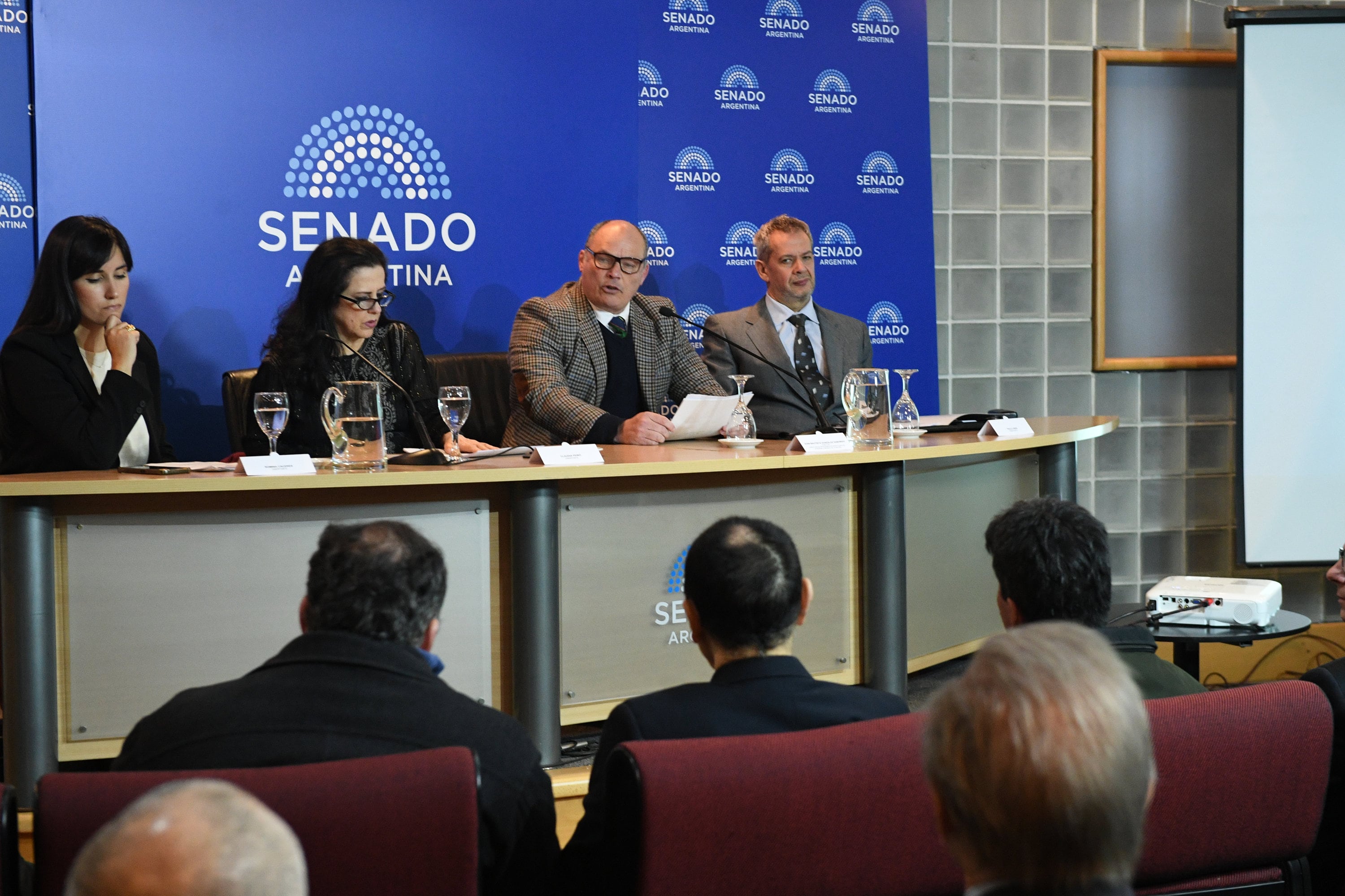 El Senado advirtió que el envejecimiento poblacional amenaza el futuro demográfico de Argentina