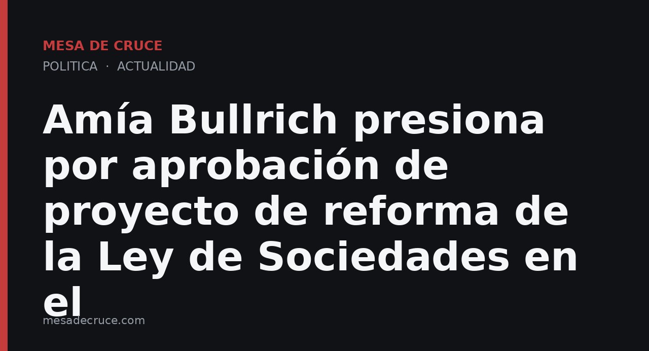 Amía Bullrich presiona por aprobación de proyecto de reforma de la Ley de Sociedades en el
