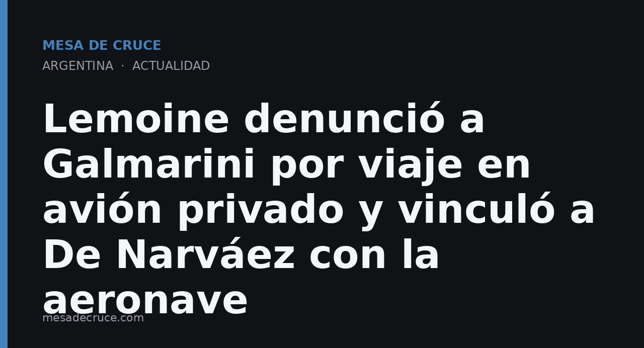 Lemoine denunció a Galmarini por viaje en avión privado y vinculó a De Narváez con la aeronave