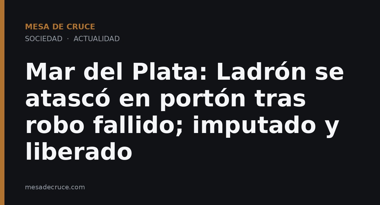 Mar del Plata: Ladrón se atascó en portón tras robo fallido; imputado y liberado