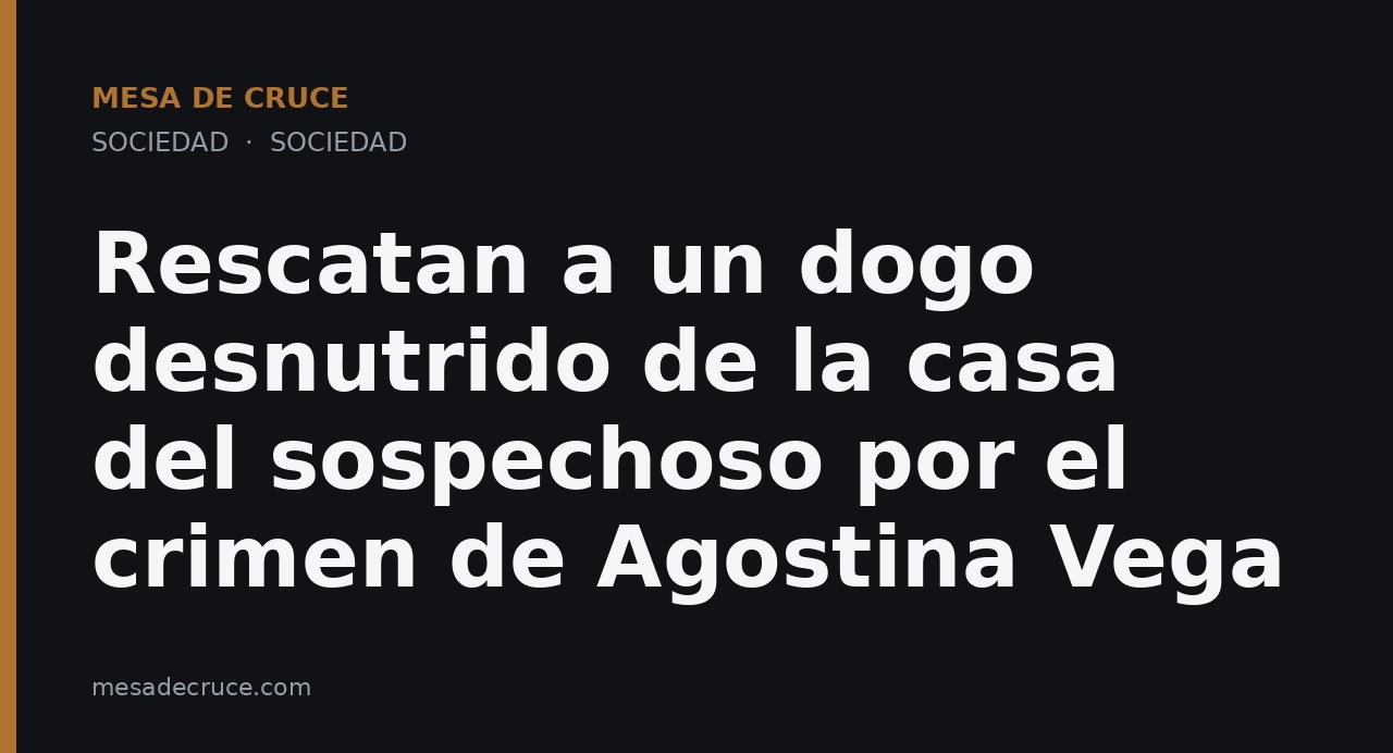 Rescatan a un dogo desnutrido de la casa del sospechoso por el crimen de Agostina Vega