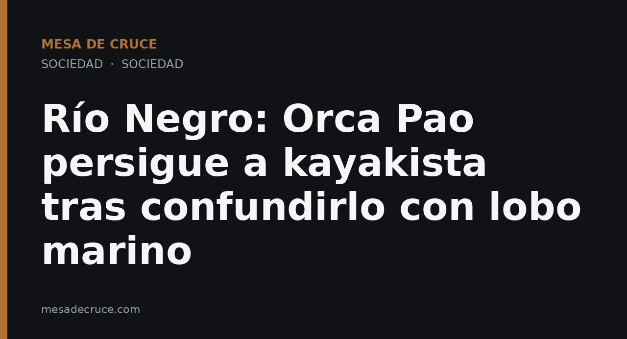Río Negro: Orca Pao persigue a kayakista tras confundirlo con lobo marino